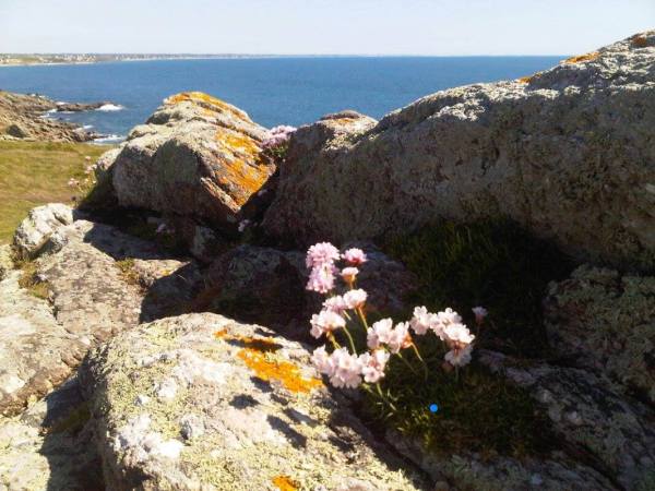 13120751_682553895216894_1769035586_o