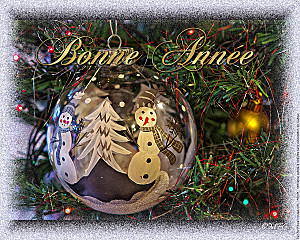 bonne-annee-boule-de-noel.jpg