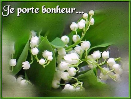 je-porte-bonheur.jpg