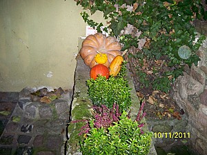 Escapade-en-Alsace-037.JPG
